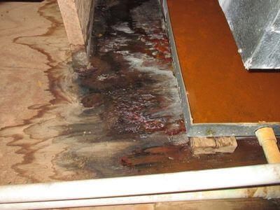 About North Miami Water Damage Restoration - water damage restoration experts in North Miami